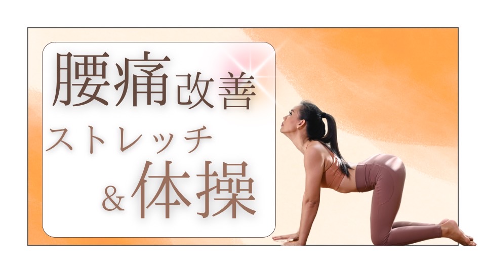 腰痛改善ストレッチと体操