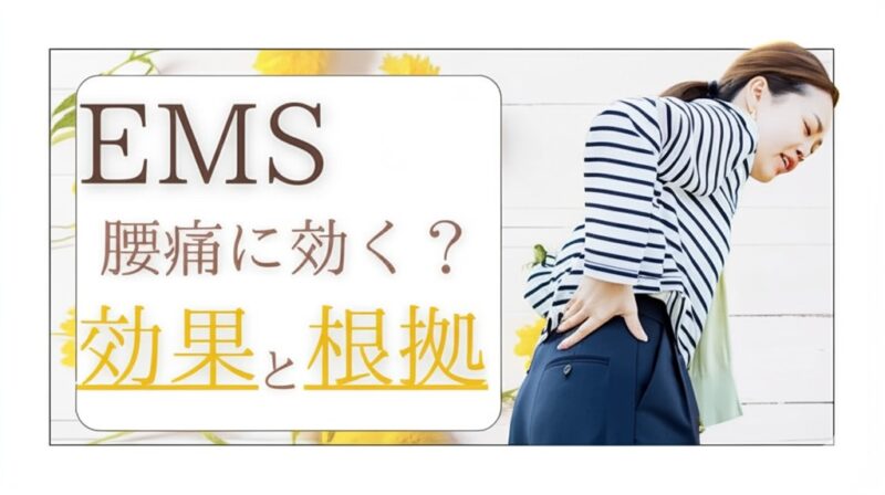 EMS腰痛に効く？効果と根拠