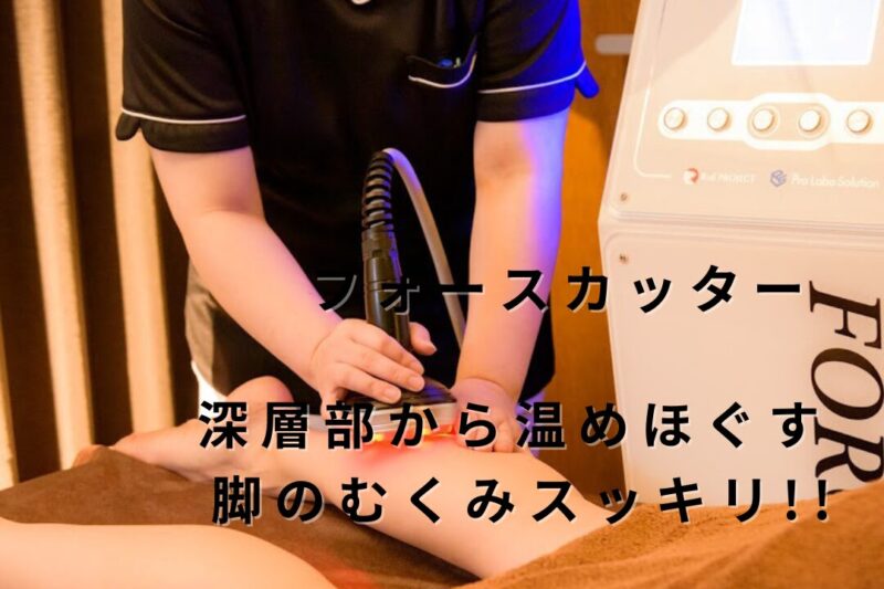 ポポの木サロンのフォースカッター